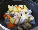 若鶏と野菜の煮物作り方7写真