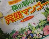 混ぜたら冷凍庫へ！フルーツアイス作り方1写真