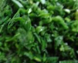 我が家自慢の餃子作り方2写真