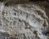 鰯のカレームニエル風作り方2写真