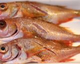金目鯛　魚の煮付け作り方1写真