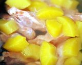 お玉で計量!鶏手羽のパイン煮作り方3写真