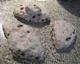 簡単一気に2種類フランスパン!作り方21写真