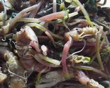 ✿葉ワサビ漬けとベーコンの和風パスタ✿作り方1写真