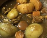 圧力鍋で簡単！野菜ゴロゴロチキンカレー♬作り方5写真