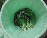 高菜漬け　覚書作り方5写真