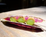 土鍋で紫えんどう豆ごはん　京都カフェ作り方1写真
