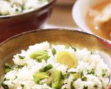 のびタラ、ごはん～タラの芽の混ぜご飯～作り方11写真