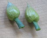 高級料亭の味♥ねぎ坊主の天ぷら作り方1写真