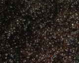 元ハンバーグ職人直伝わさびステーキソース作り方7写真