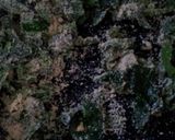 離乳食後期～簡単高野豆腐と野菜のグラタン作り方3写真