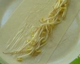 超スピード♪焼き春巻き作り方3写真