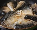 塩さばdeさばの味噌煮☆作り方9写真
