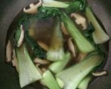 揚げ高野豆腐と青梗菜のとろみ中華煮作り方9写真