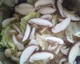 すぐ美味しい彩り鍋作り方1写真