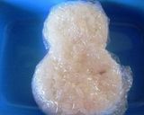 アヒルのお弁当（キャラ弁・幼稚園）作り方1写真