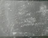 私のお気に入り＊フランスパン作り方28写真