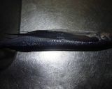 トビウオのアーモンド塗し照り焼き作り方3写真