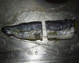 トビウオのアーモンド塗し照り焼き作り方8写真