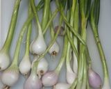 わけぎのキムチ和え作り方1写真