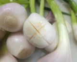 わけぎのキムチ和え作り方2写真