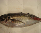 鯵のさばき方/鯵の塩焼き　作り方1写真