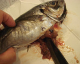 鯵のさばき方/鯵の塩焼き　作り方5写真