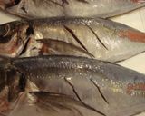 鯵のさばき方/鯵の塩焼き　作り方8写真