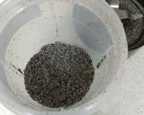 ゴマｘゴマで香ばし真っ黒胡麻パン　HB作り方1写真