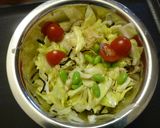 たっぷり野菜の　甘酸っぱい塩こんぶ和え作り方7写真