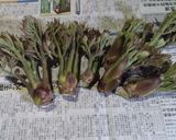 たらの芽の下ごしらえ作り方1写真