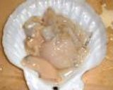 ホタテのグリル作り方1写真