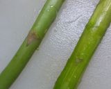 ☆簡単✿野菜のぷるぷるジュレスープ✿☆♡作り方3写真