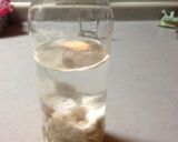 酒かす酵母(酵母液)作り方1写真