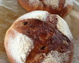 酒かす酵母(酵母液)作り方4写真
