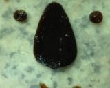 キャラ弁 お稲荷さんでコアラのマーチ作り方6写真