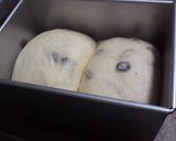 ぶどうパン・・・目指せぶどうの森～　作り方9写真