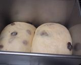 ぶどうパン・・・目指せぶどうの森～　作り方8写真