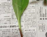 行者にんにくと玉ねぎのかき揚げ作り方1写真