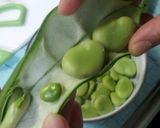 豆をゆでるだけ～(*_*)作り方1写真
