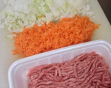 新タマネギと挽肉の簡単カレー‼作り方1写真