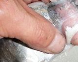 アジのなめろう&冷や汁のぶっかけ作り方12写真