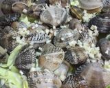 春キャベツうまうま☆アサリの酒蒸し作り方3写真