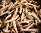 温奴でも冷奴でも♡お豆腐をおいしく作り方4写真