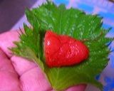 明太子の天ぷら作り方1写真