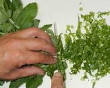 大根菜の油炒め作り方1写真