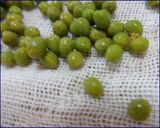 山椒の醤油漬け作り方1写真