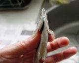 甘酸っぱさが食欲増進♪小あじの南蛮漬け作り方3写真
