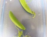 冷凍お弁当お野菜おかず:スナップえんどう作り方2写真