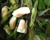旬の味「山うど＆新タマネギ」で炒め煮〜♫作り方4写真